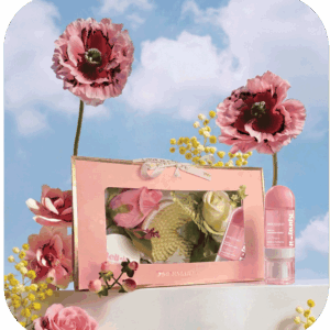 Bloom Blushe Set